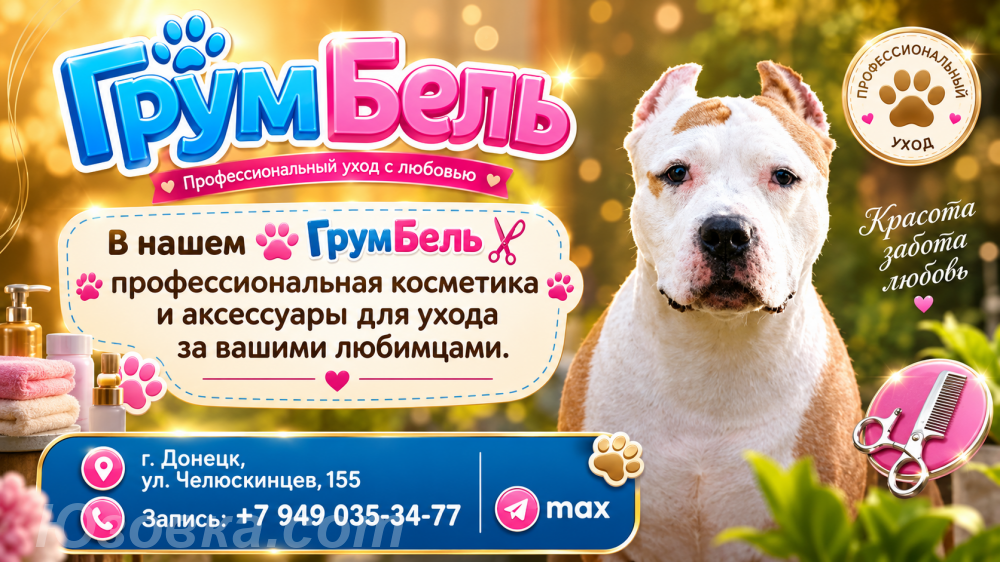 Стрижки кошек и собак Грум-салон, ДОНЕЦК