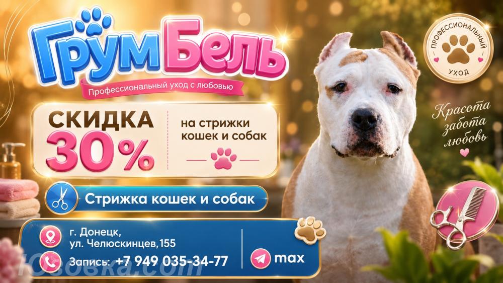 Стрижка кошек и собак - Грум кабинет, ДОНЕЦК