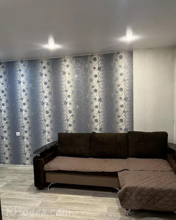 1-комн. квартира, 30м², с мебелью, 4/9 эт.