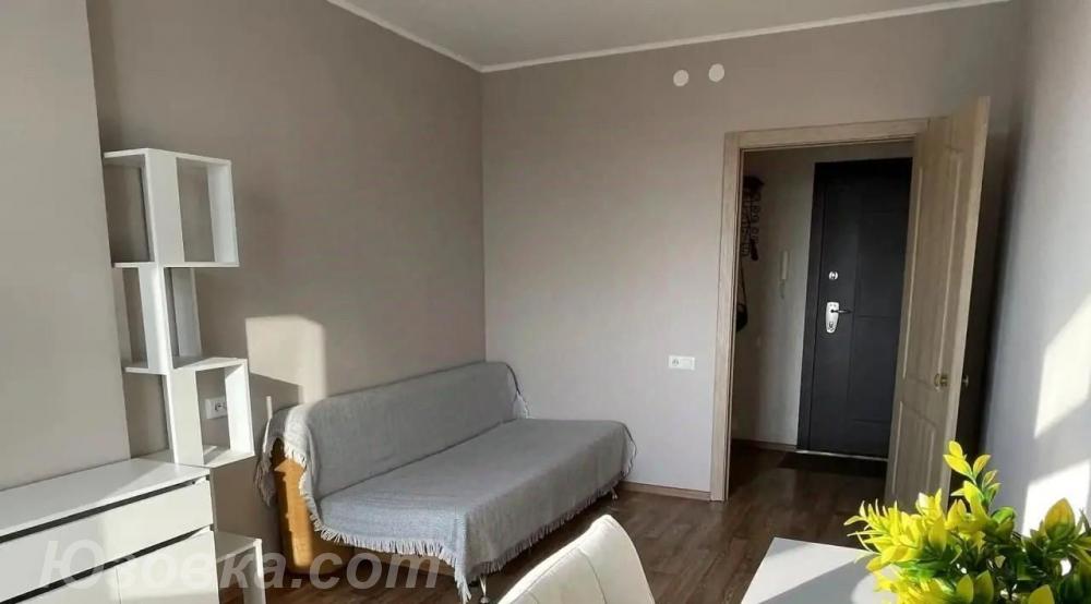 1-комн. квартира, 38м², с мебелью, 4/9 эт.