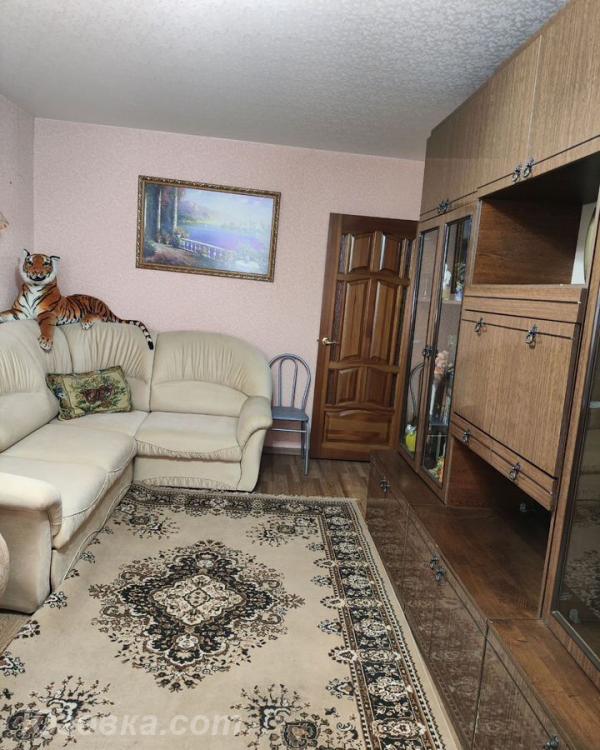 1-комн. квартира, 34м², с мебелью, 2/5 эт., ДОНЕЦК