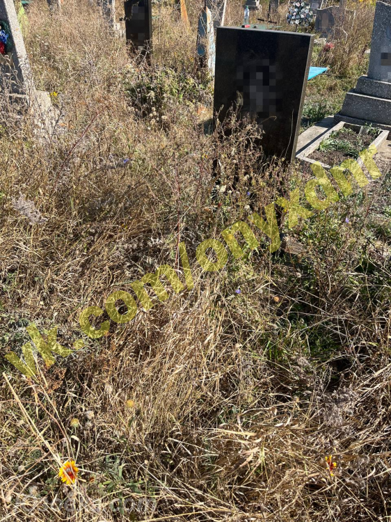 Уборка на кладбище ДНР, Иловайск