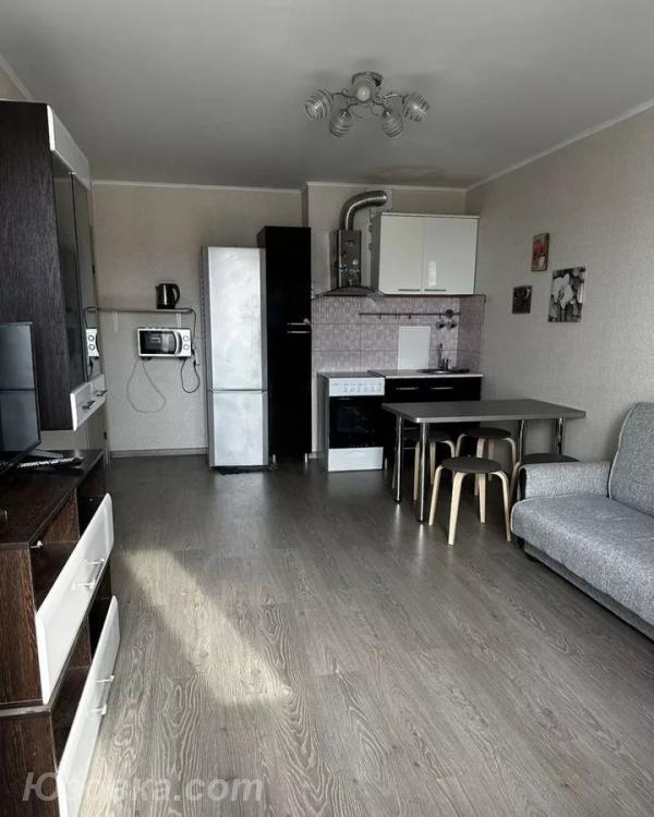 1-комн. квартира, 42м², с мебелью, 3/9 эт.