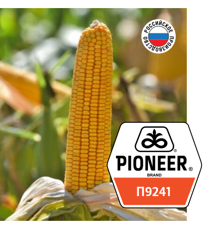 Семена гибридов кукурузы ПИОНЕР PIONEER купить П 9241 . ..