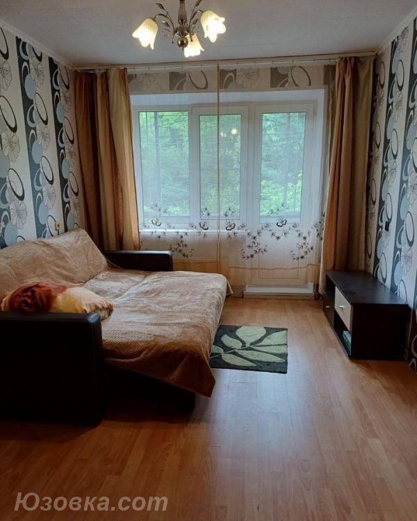 1-комн. квартира, 35м², с мебелью, 1/5 эт., ДОНЕЦК