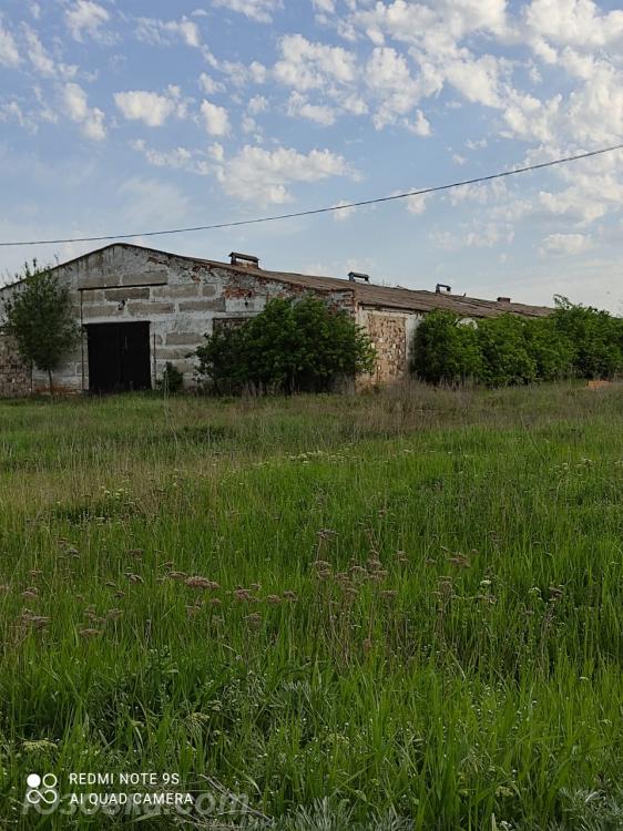 Ферма 2500 м. кв Еленовка, Донецкая область, Волноваха