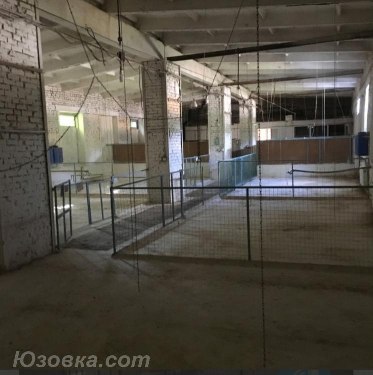 Продам помещение св. назнач. 330м2 в городе Луганск пгт Александровск